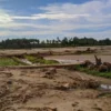 Sawah Pidie Jaya Tertimbun Lumpur Empat Bulan Pascabanjir, Petani Belum Bisa Tanam