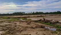 Sawah Pidie Jaya Tertimbun Lumpur Empat Bulan Pascabanjir, Petani Belum Bisa Tanam
