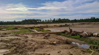Sawah Pidie Jaya Tertimbun Lumpur Empat Bulan Pascabanjir, Petani Belum Bisa Tanam