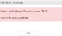 Server Error 500 Meningkat, Fortinet Rilis Patch Darurat untuk Tutup Celah FortiClient EMS