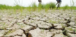 Siaga Kemarau Panjang, BPBD Jember Petakan Wilayah Rawan Kekeringan