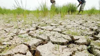 Siaga Kemarau Panjang, BPBD Jember Petakan Wilayah Rawan Kekeringan