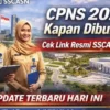Siap-siap! Pendaftaran CPNS 2026 segera dibuka, cek bocoran jadwal dan kuotanya