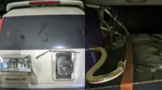 Skandal di Miami: Lionel Messi terancam denda Rp112 miliar usai dituding lakukan penipuan besar