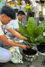SMPN 1 Kunjang Gelar Aksi Tanam Lidah Buaya, Perkuat Kebersamaan Siswa dan Guru