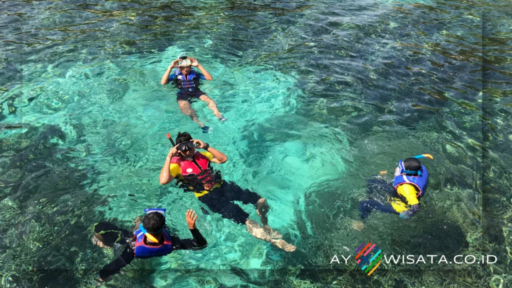 Spot Snorkeling Terpopuler di Pantai Ciantir