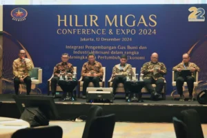 Standar Global LME Mengintai, Celios Ingatkan Risiko Ketergantungan dan Ketimpangan Hilirisasi