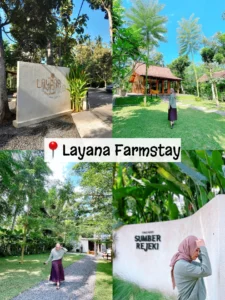 Staycation di Banyuwangi dengan Sarapan Lokal Khas: Pilihan Akomodasi yang Tepat