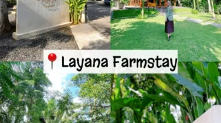 Staycation di Banyuwangi dengan Sarapan Lokal Khas: Pilihan Akomodasi yang Tepat