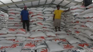 Stok Beras Bulog Nasional Tembus 5 Juta Ton, Bondowoso Catat Rekor Tertinggi Daerah