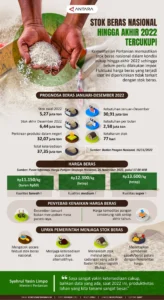 Stok Beras Nasional Aman Hingga 11 Bulan, Total Tersedia 39,5 Juta Ton