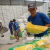 Stok Beras Nasional Capai 4,3 Juta Ton, Pemerintah Siap Hadapi Kemarau 2026