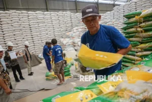 Stok Beras Nasional Capai 4,3 Juta Ton, Pemerintah Siap Hadapi Kemarau 2026