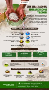 Stok Beras Nasional Mencapai 4,6 Juta Ton, Cukup untuk Kebutuhan 10-11 Bulan