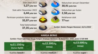 Stok Beras Nasional Mencapai 4,6 Juta Ton, Cukup untuk Kebutuhan 10-11 Bulan