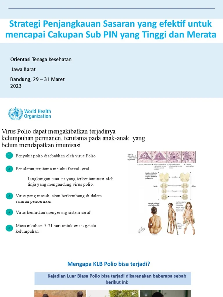 Strategi mendapatkan skin statistik tinggi tanpa mengeluarkan biaya besar