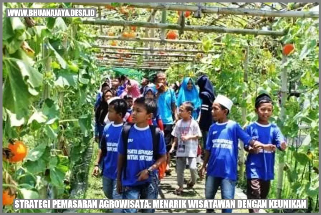 Strategi Pemasaran untuk Menarik Wisatawan Peduli Lingkungan