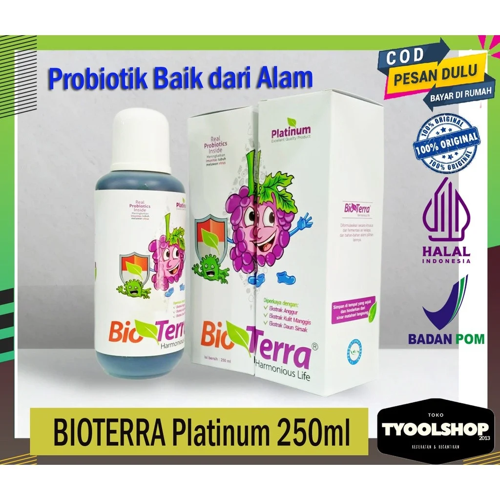 Sumber Probiotik Alami dan Suplemen