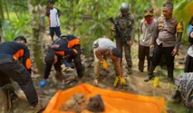 Suwardi Penggembala Sapi Ditemukan Tinggal Tulang Belulang di Hutan Baluran, Situbondo