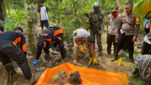 Suwardi Penggembala Sapi Ditemukan Tinggal Tulang Belulang di Hutan Baluran, Situbondo