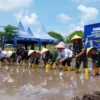 Tanam Padi 672 Hektar di Banyuwangi Dukung Target LTT Jawa Timur