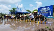 Tanam Padi 672 Hektar di Banyuwangi Dukung Target LTT Jawa Timur