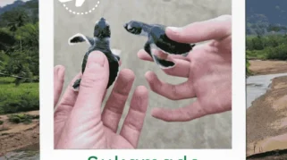 Tempat wisata terdekat dari Sukamade yang wajib dikunjungi