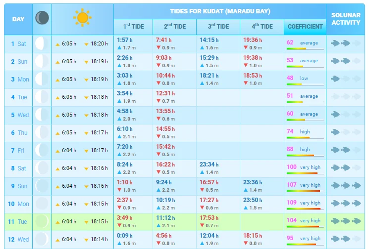 Tips Memilih Waktu Terbaik Berdasarkan Jadwal Pasang Surut dan Waktu Terbaik untuk Berselancar di Sawarna Srikandi