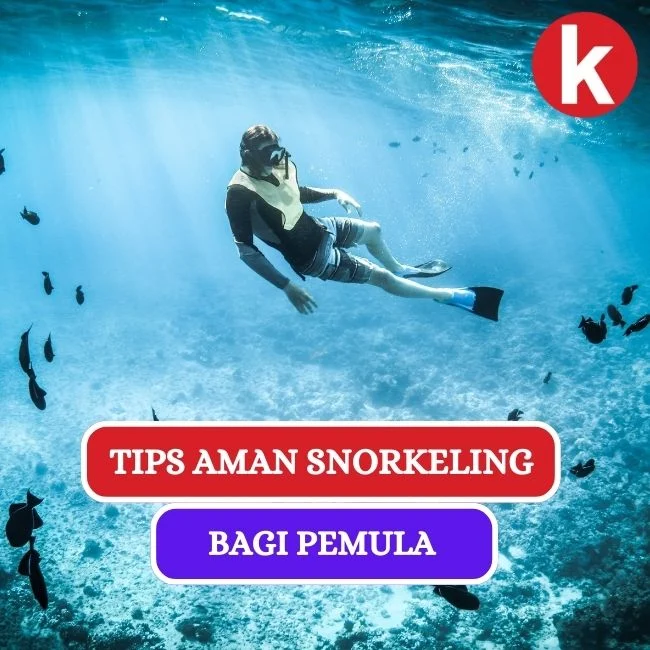 Tips Praktis untuk Pengalaman Snorkeling yang Tak Terlupakan