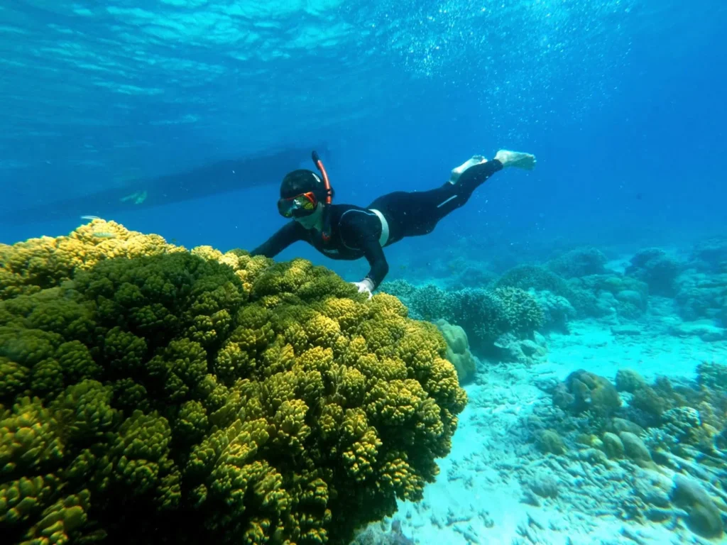 Tips Snorkeling Aman dan Nyaman