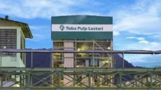 Toba Pulp Lestari PHK Massal 80% Karyawan Setelah Izin Pemanfaatan Hutan Dicabut