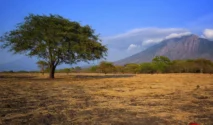 Usaha tour guide petualangan di Taman Nasional Baluran