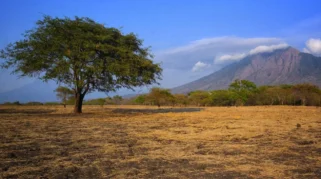 Usaha tour guide petualangan di Taman Nasional Baluran