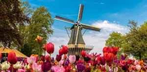 WA Luncurkan Studi Reparasi, Hadapi Kontroversi Eksekusi, dan Rayakan Festival Tulip 2026