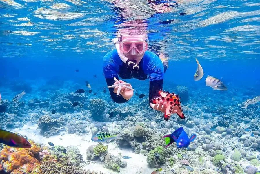 Waktu Terbaik untuk Snorkeling di Ciantir