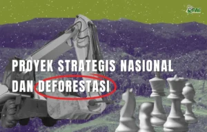 Walhi: Proyek Strategis Nasional Bukan Solusi, Justru Percepat Deforestasi dan Merampas Ruang Hidup Rakyat