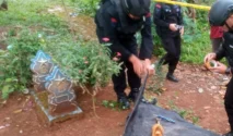 Warga Palopo Temukan Granat Nanas Saat Bersih‑Bersih Kuburan