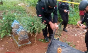 Warga Palopo Temukan Granat Nanas Saat Bersih‑Bersih Kuburan