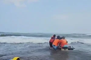 Wisatawan Hilang Saat Coba Surfing di Pantai Parangtritis, Tim SAR Lakukan Pencarian Intensif