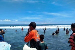 Wisatawan Kencong Tewas Tergulung Ombak di Pantai Paseban saat Libur Lebaran
