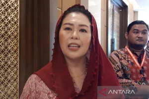 Yenny Wahid Tekankan Krisis Energi Membebani Dapur Rumah Tangga, Perempuan Jadi Korban Utama