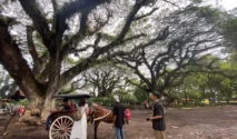 51.575 Wisatawan Serbu Banyuwangi Selama Long Weekend 1‑3 Mei 2026