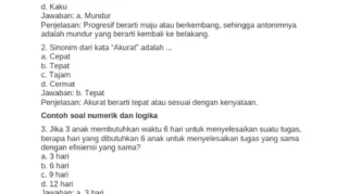 60 Contoh Soal Tes Masuk SMA Unggulan Beserta Jawaban sebagai Latihan Persiapan