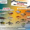 Ancaman Spesies Ikan Asing Invasif Terhadap Ekosistem Perairan Indonesia