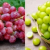 Anggur Merah Vs Anggur Hijau, Mana yang Kandungan Nutrisinya Lebih Baik?