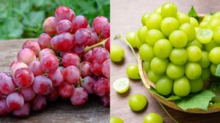 Anggur Merah Vs Anggur Hijau, Mana yang Kandungan Nutrisinya Lebih Baik?
