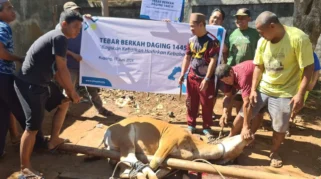 ASN Banyuwangi Salurkan 191 Hewan Kurban ke Warga Miskin pada Iduladha 1446 H