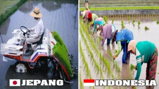 ATONIK Dampingi Petani Indonesia Selama 50 Tahun dengan Teknologi Pertanian Jepang