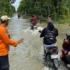 Banjir di Pati Mulai Berangsur Surut Setelah Hujan Deras dan Fenomena Rob
