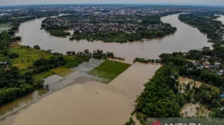 Banjir Luapan Sungai di Cepu Rendam Puluhan Rumah, BPBD Pastikan Tidak Ada Korban Jiwa